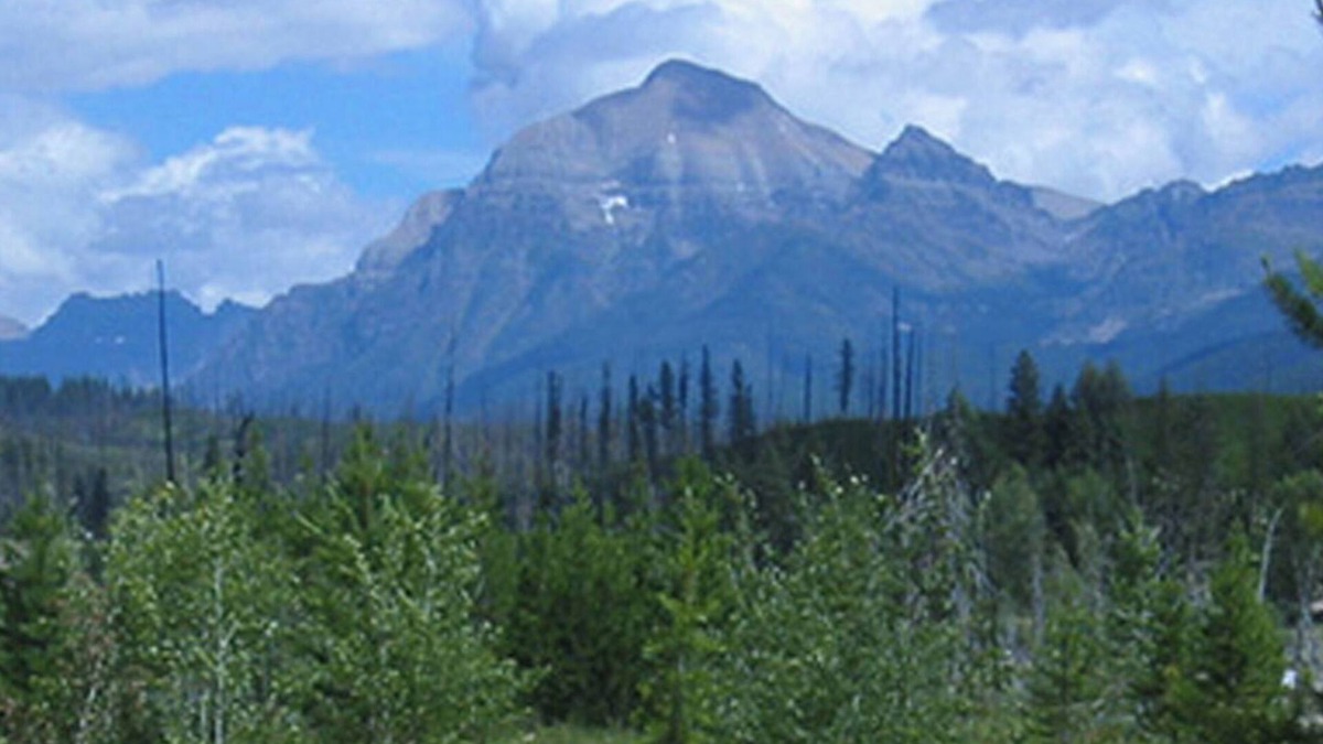 Polebridge Cabin | Charming cabin with Incredible Mountain Views!