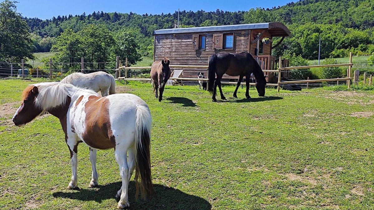 Hermitage-Tournonais-Herbasse-Pays de Saint-Felicien Cabin | Charming caravan in the Ardéchoise hills