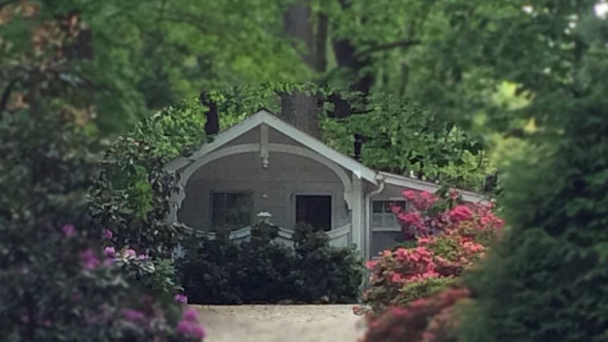 Five Points Cottage | Charming, Contemporary Cottage Conveniently Located In The Heart Of Asheville!