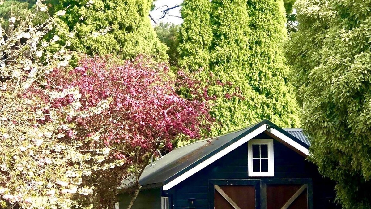 Moss Vale Cottage | Charming converted country stable located on a 120 acre horse property
