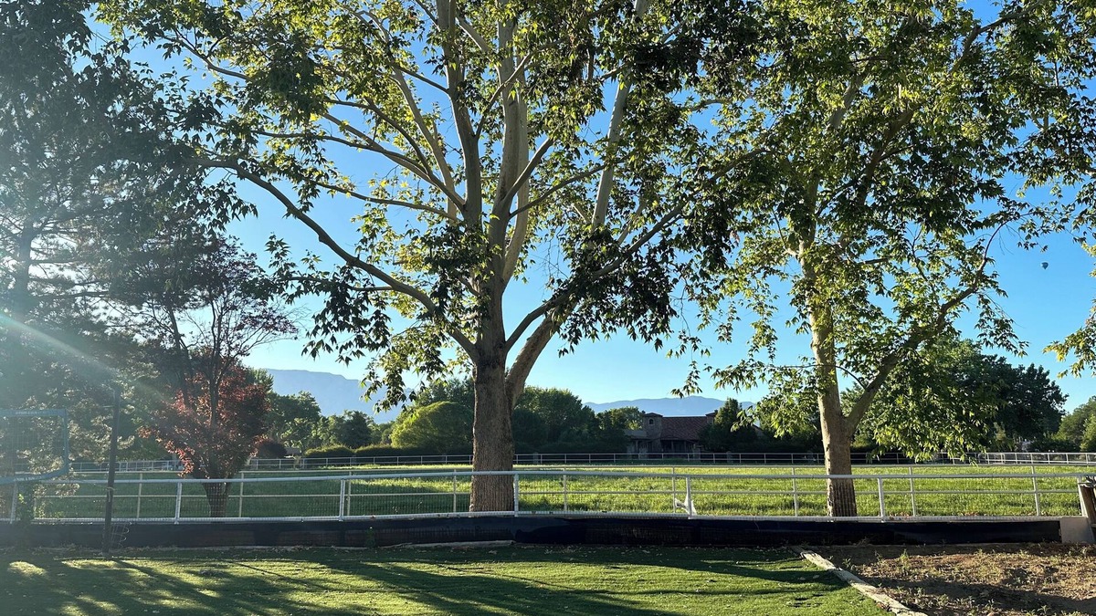 Corrales House | Charming Corrales Adobe: Family-friendly, a tranquil and luxurious getaway.