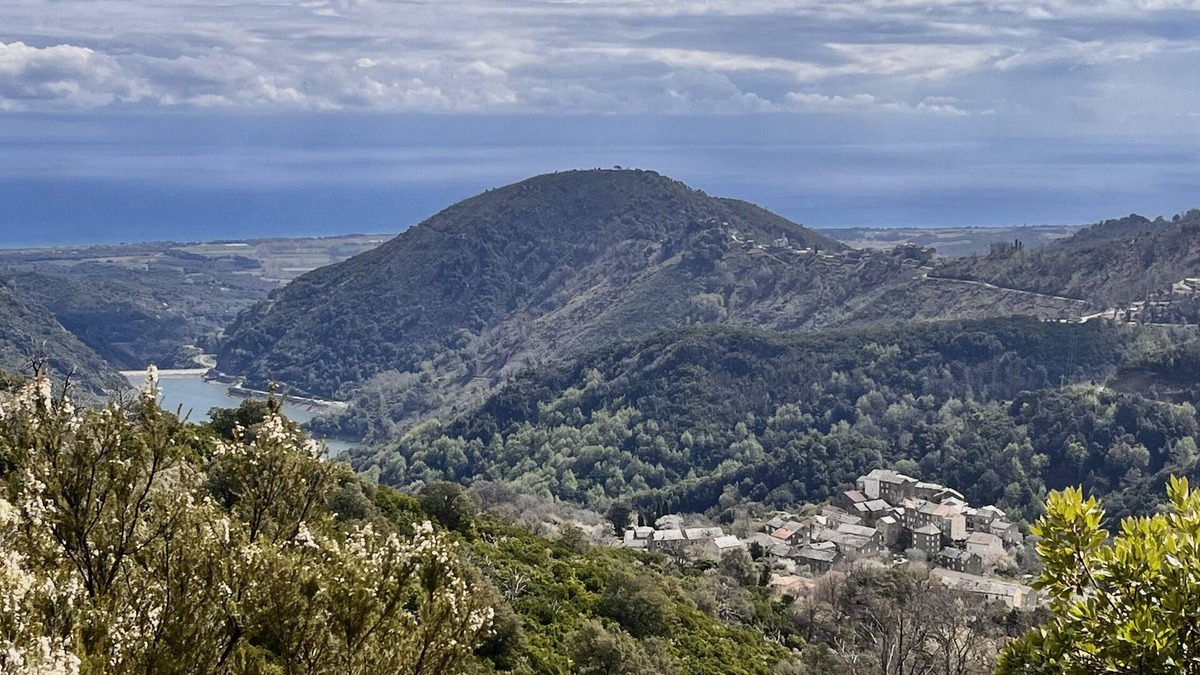 Pietra-di-Verde House | Charming Corsican house