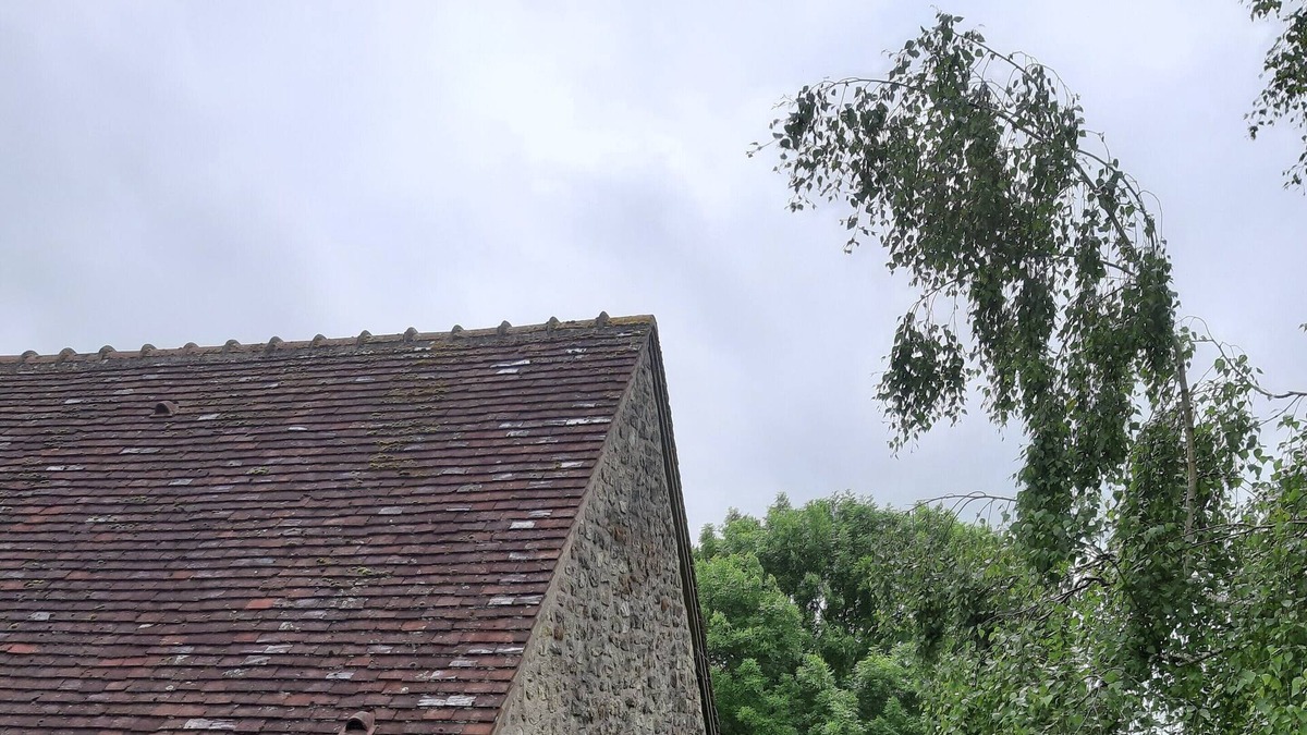 Coudray-au-Perche House | Charming cottage in the perch (1h30 Paris) Charming quiet cottage in the Perche