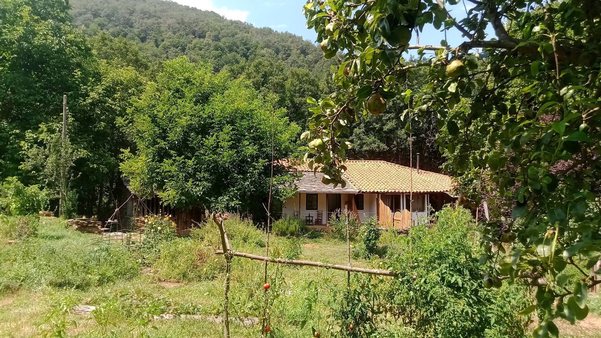 Montoedo Cottage | Charming cottage in the heart of the Ribera sacra