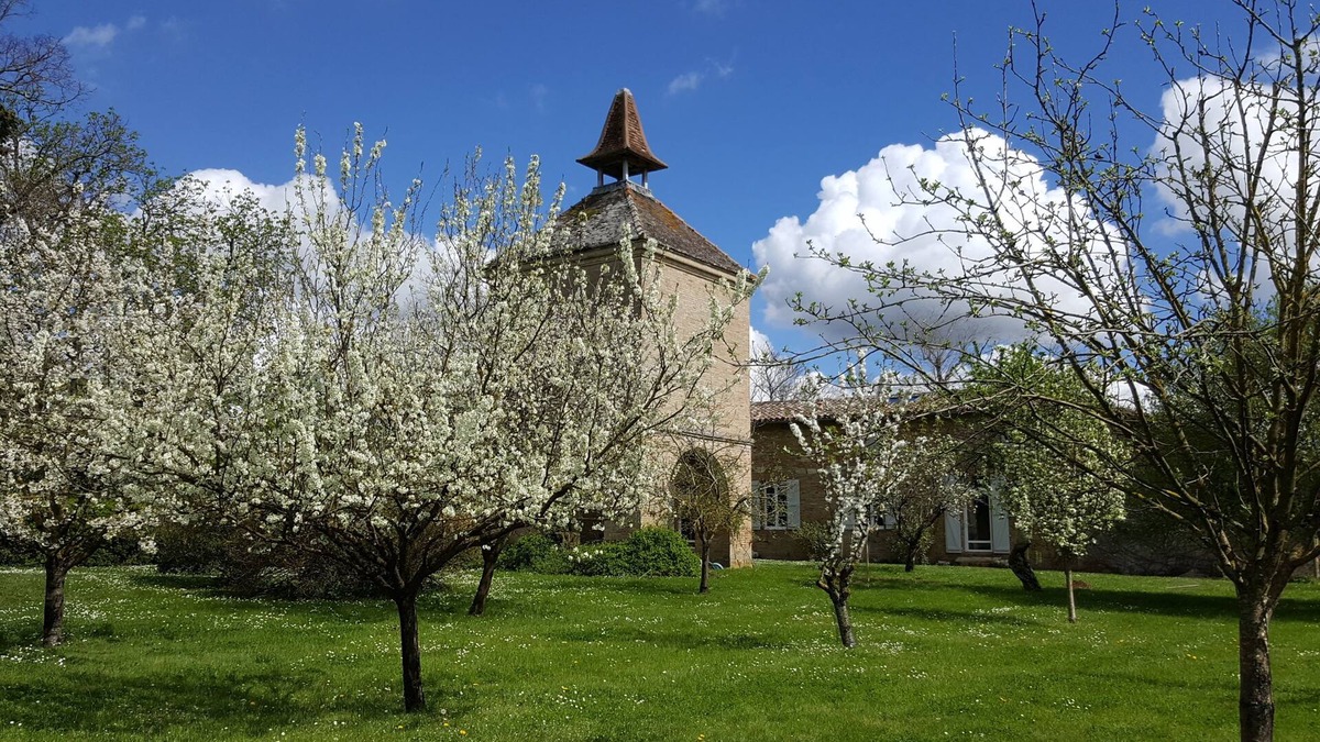 Beaumont-de-Lomagne Cottage | Charming cottage (4 *) in the heart of Lomagne