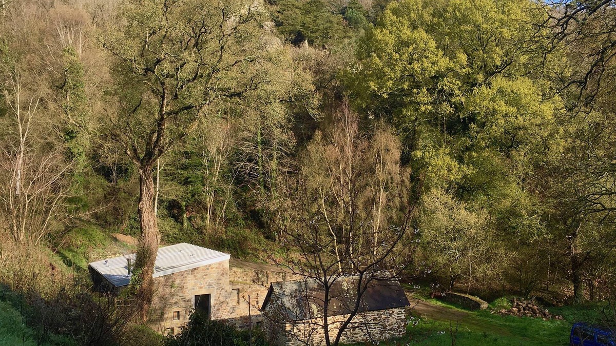 Sevignac House | Charming cottage for couples (nature, fishing, stroll)