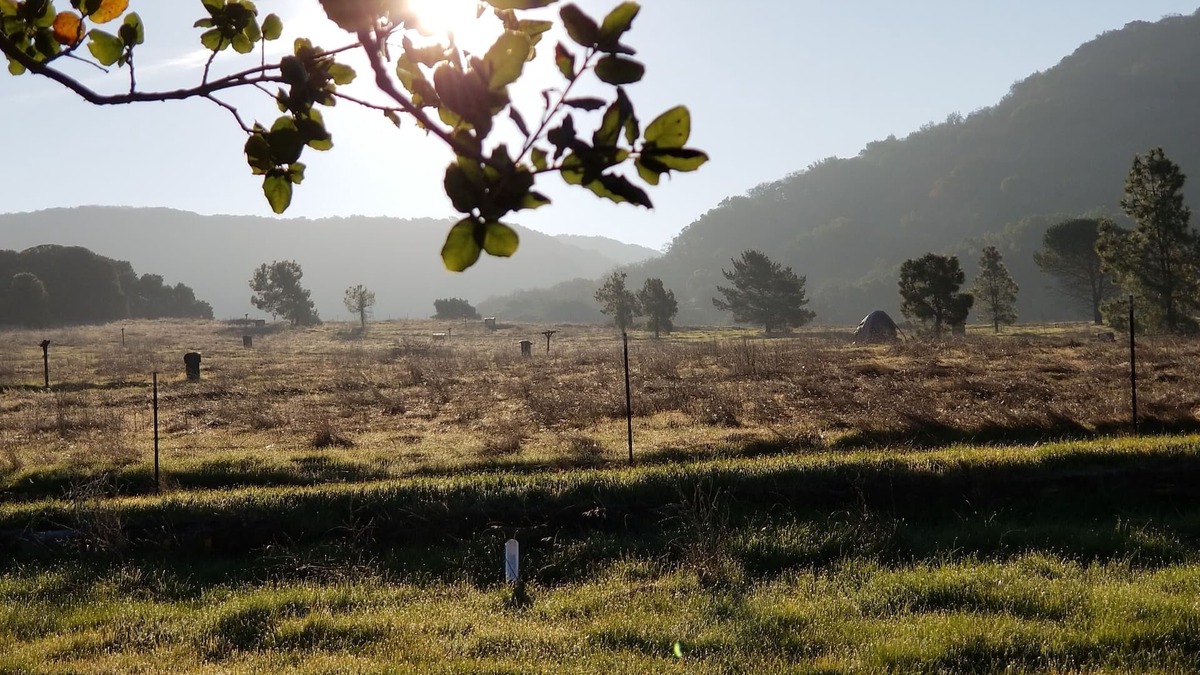 Napa House | Charming Cottage/Guest House 2 miles from Downtown Napa