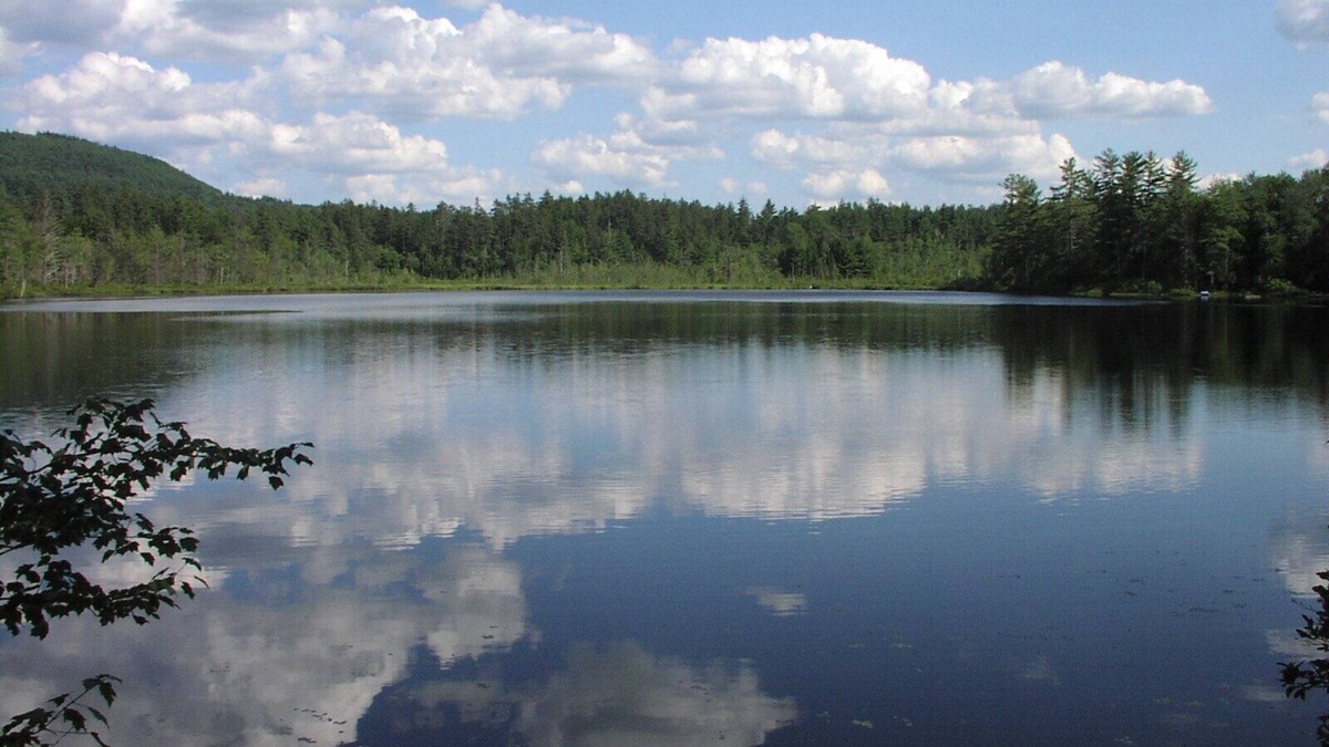 Madison Cottage | Charming Cottage - Private Community With Lake
