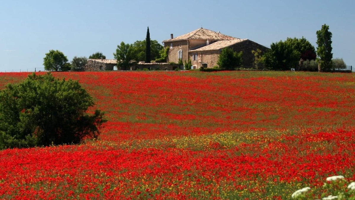 Valensole Other | Charming cottage with swimming pool