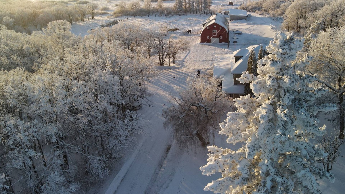 Division No. 4 House | Charming Country Barn Loft – Fully Renovated and Ready for Your Stay!