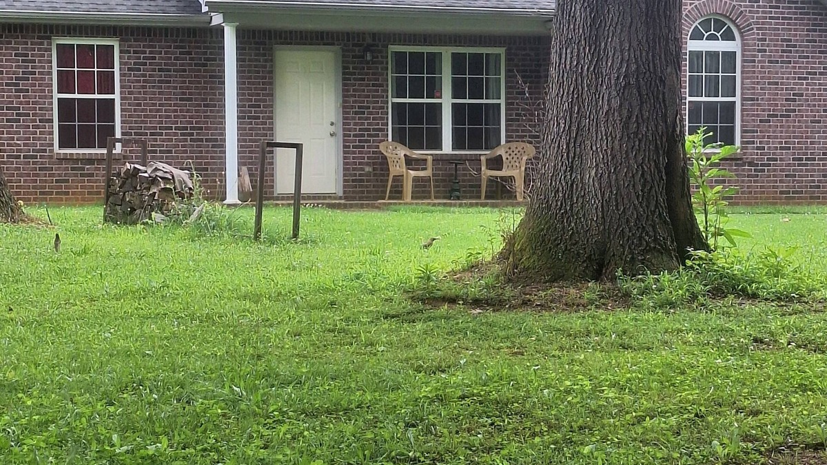 Smyrna House | Charming Country yet close to all 3-bedroom house with AC, WiFi in lovely Smyrna