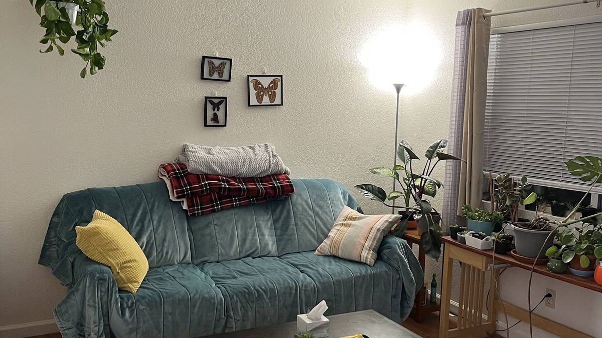 Reno Apartment | Charming, cozy apartment in Midtown Reno!
