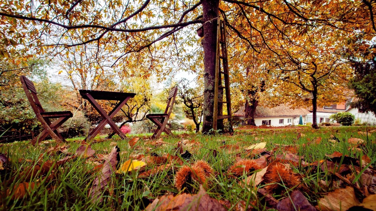 Marenla House | Charming & Cozy Cottage in Cote d'Opale & 7 Valleys