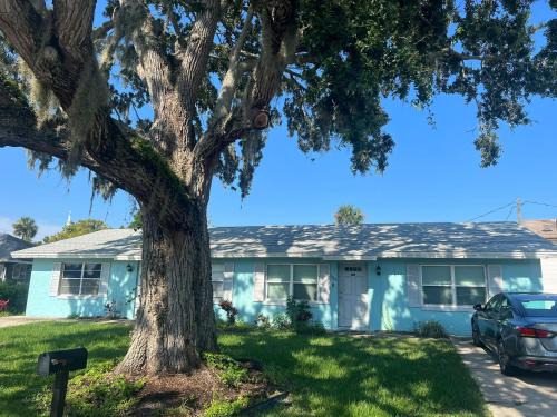 Port Orange Apartment | Charming & Cozy