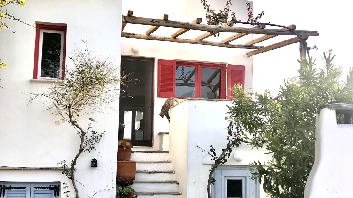 Agia Anna House | Charming Cycladic house in Agia Anna - 5 minutes from the beach
