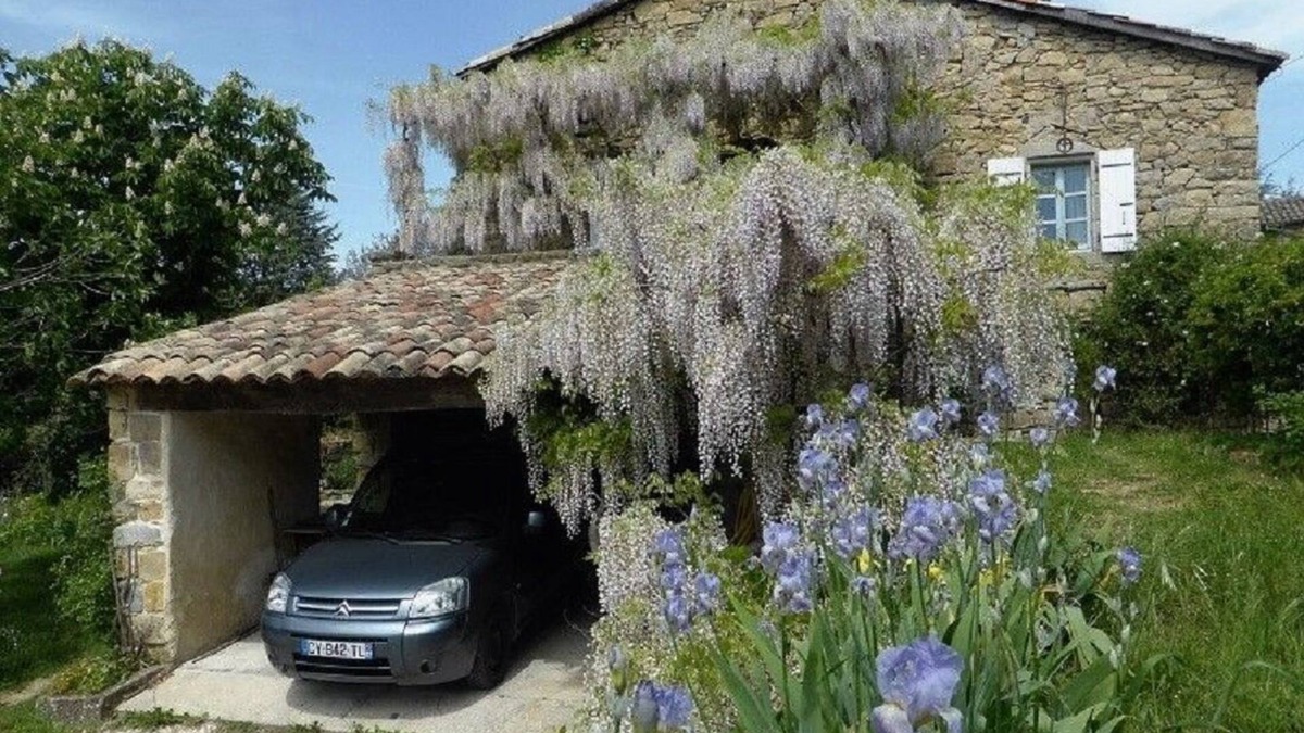 Vesseaux Other | Charming detached house with terrace in a farmhouse with swimming pool and garden