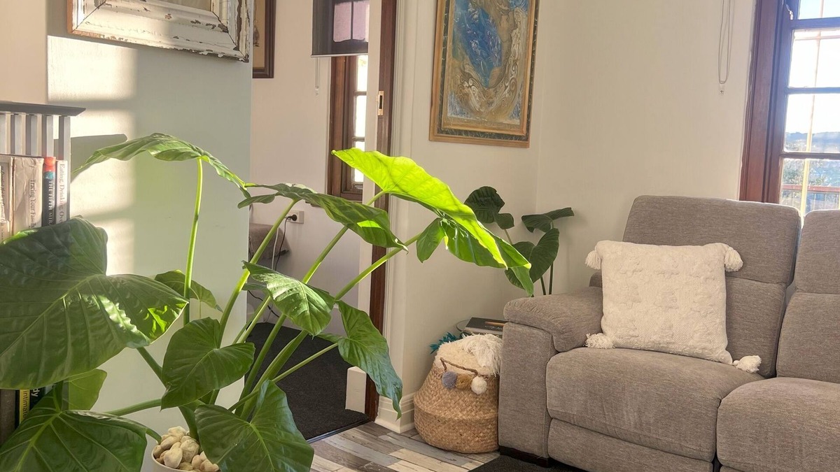 Tenterfield House | Charming Escape with Outdoor Fireplace