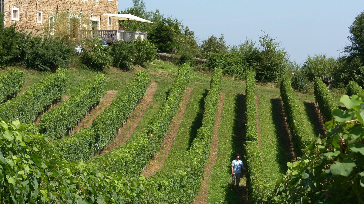 Lucq-de-Bearn House | Charming family house - restored 18th century Bearnaise farm
