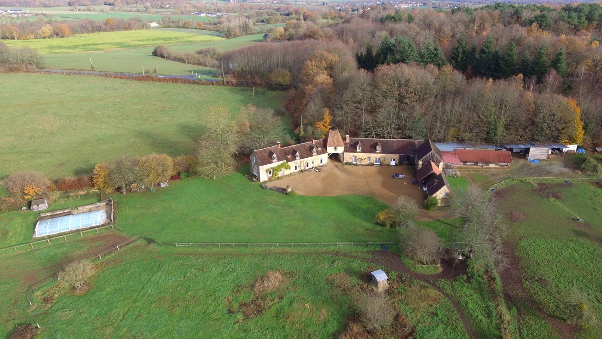 Domfront-en-Champagne House | Charming house in the middle of greenery
