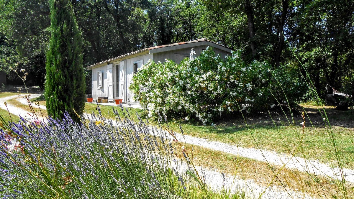 Le Puy-Sainte-Reparade Cottage | Charming house between Aix en Provence and Luberon