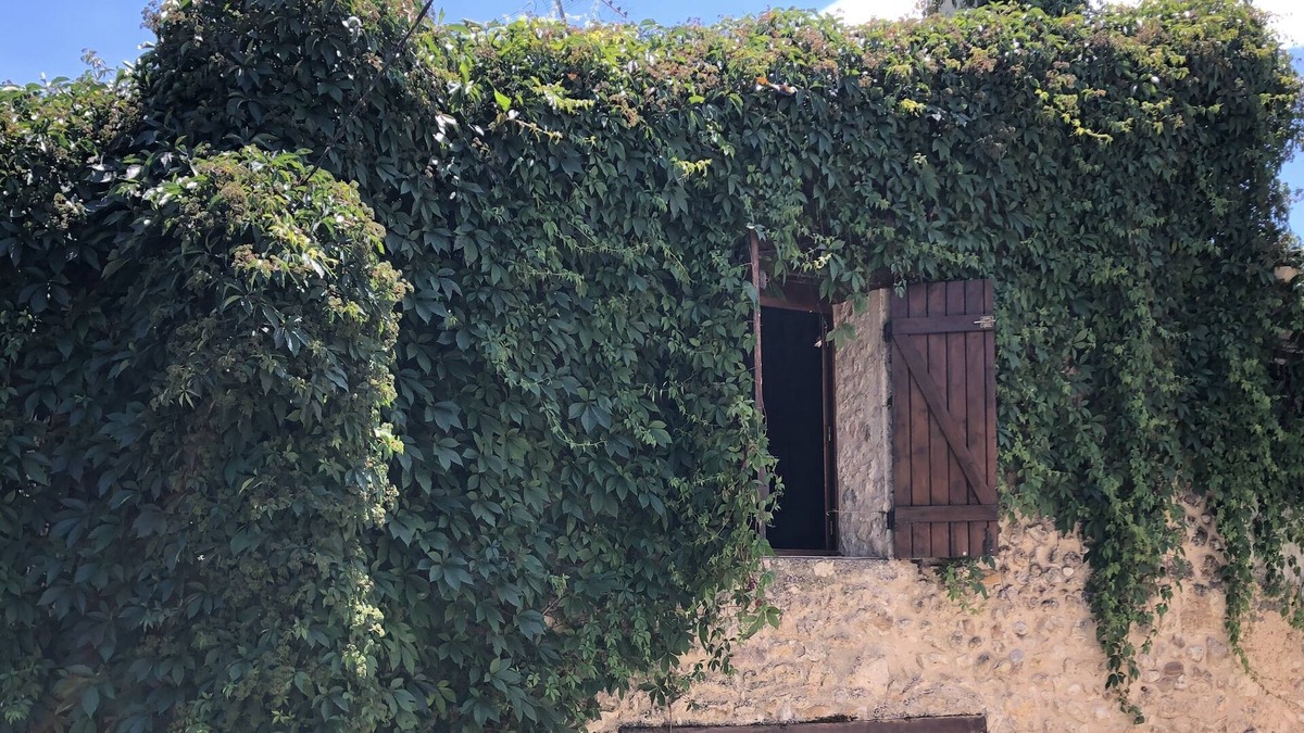 Saint-Martin-de-Bromes House | Charming house in the Verdon