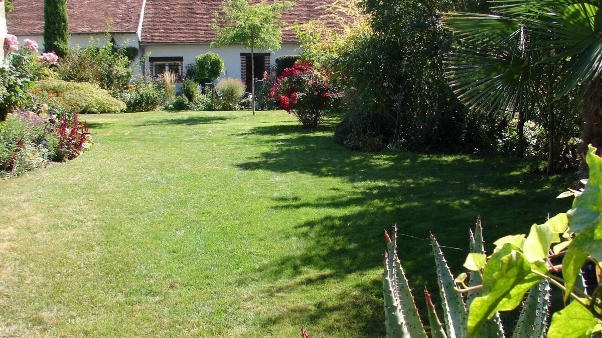 Cour-Cheverny Cottage | CHARMING GITE AT THE HEART OF THE LOIRE CASTLES (and close to the BEAUVAL ZOO)