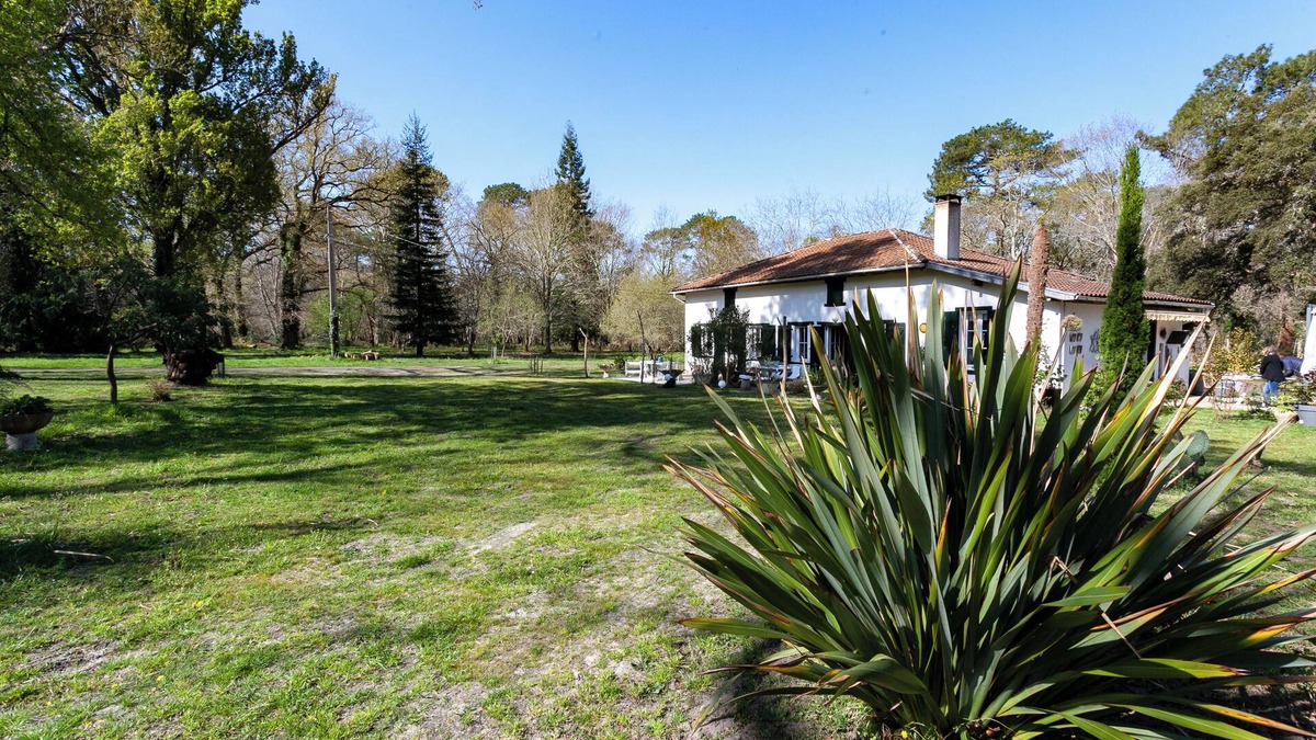Aureilhan House | Charming gîte for 2 or 4 in the forest beside the lake, 8km from the ocean