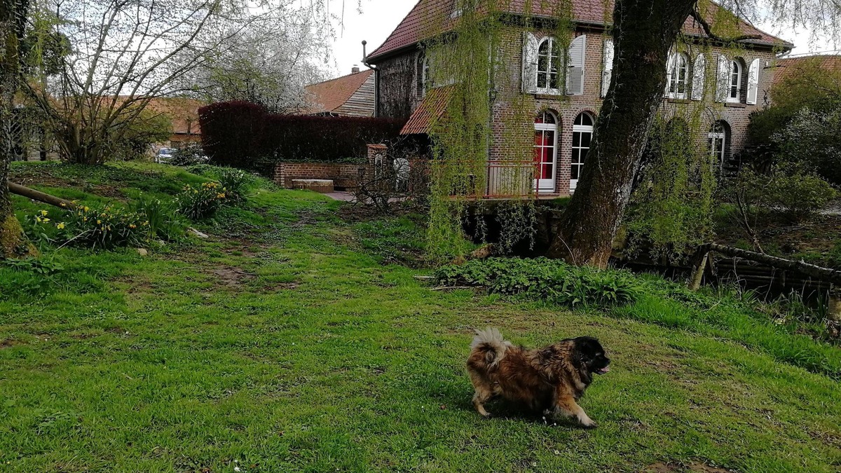 Renty Cottage | Charming gite in a mill