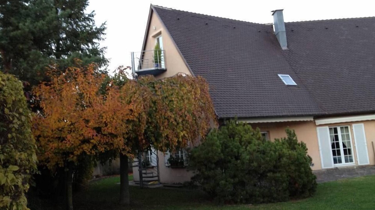 Wettolsheim Apartment | Charming gîte le loft des châteaux in the heart of the Alsace vineyards