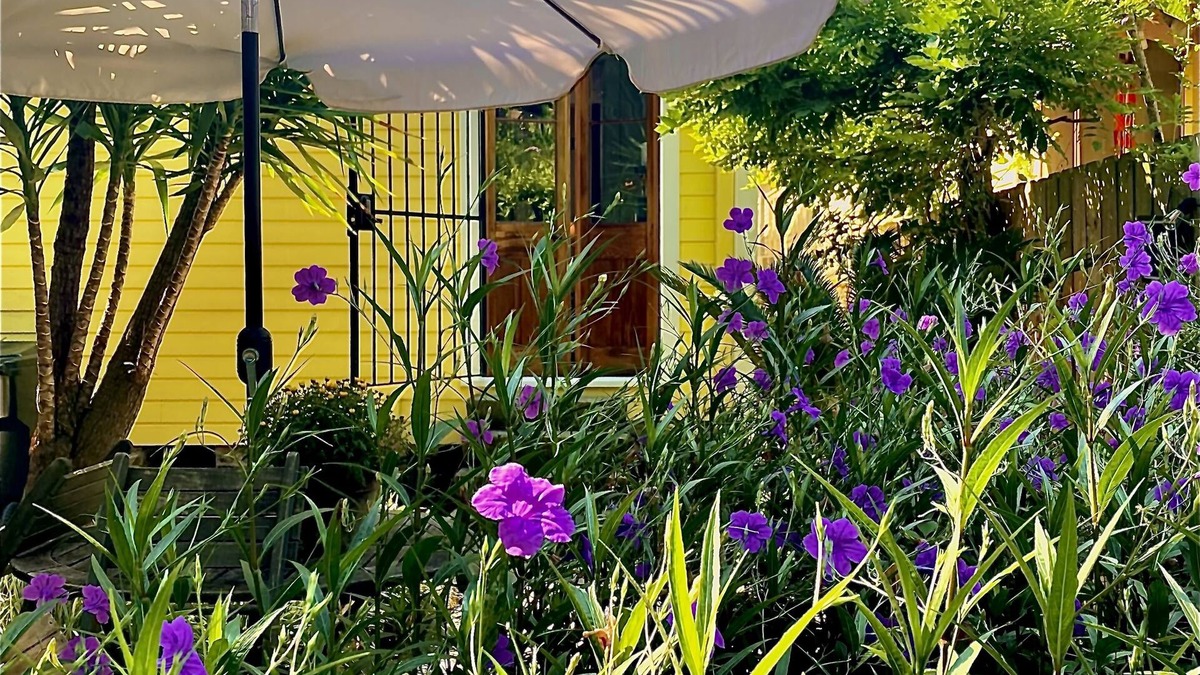 Faubourg Marigny Cottage | Charming Historic Marigny Cottage, 1865. Walk Everywhere!