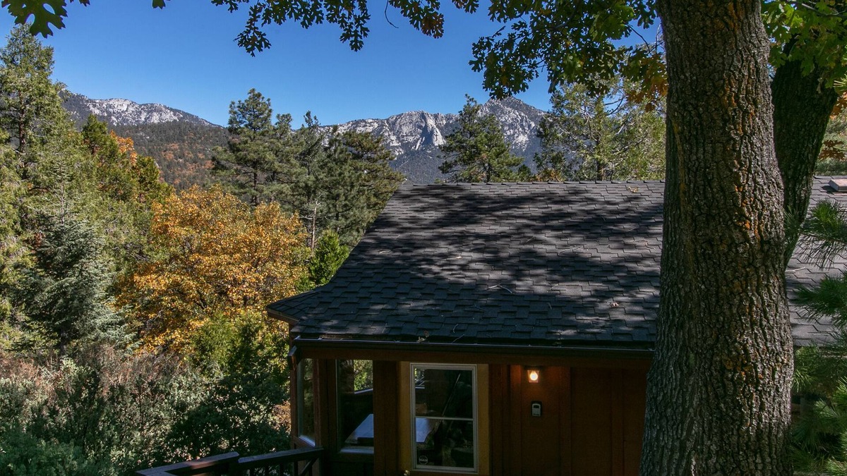 Pine Cove Cabin | Charming Hot Tub Cabin