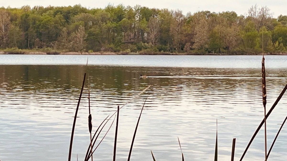 Deedsville House | Charming home on the lake!