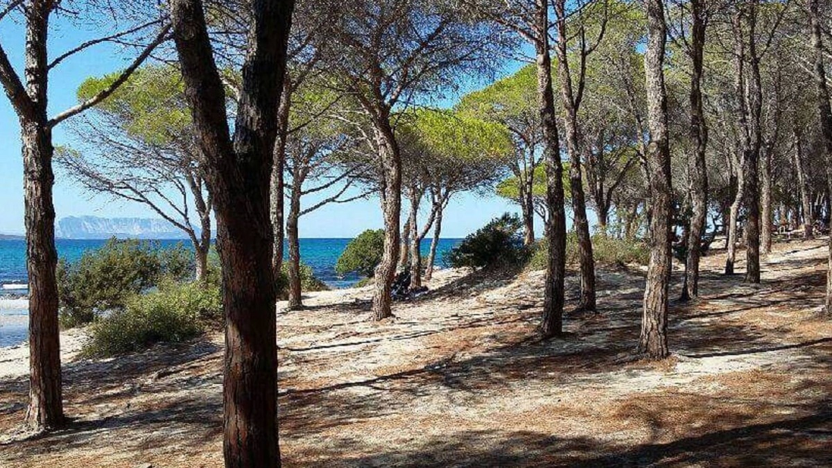 Limpiddu House | Charming house for 4 people in a quiet area with garden 2 km from the sea