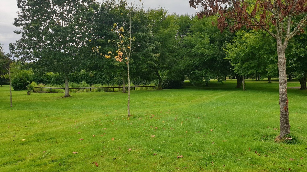 Moyaux House | Charming house in a park of almost 3ha
