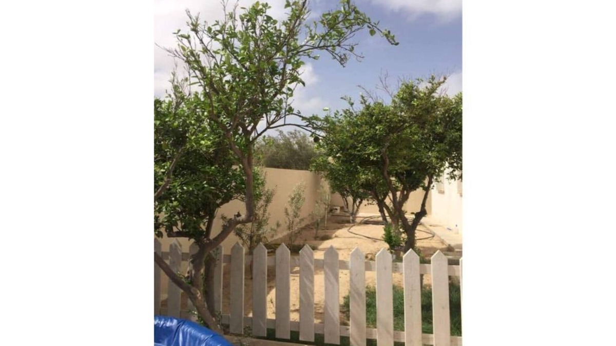 Houmt Souk House | Charming house in Djerba -Houmt Souk