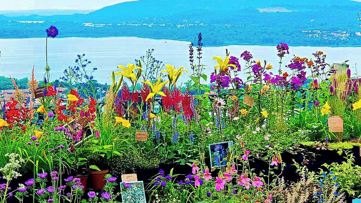 Comerio House | Charming house in the delightful Borgo Tra-Monti e Laghi