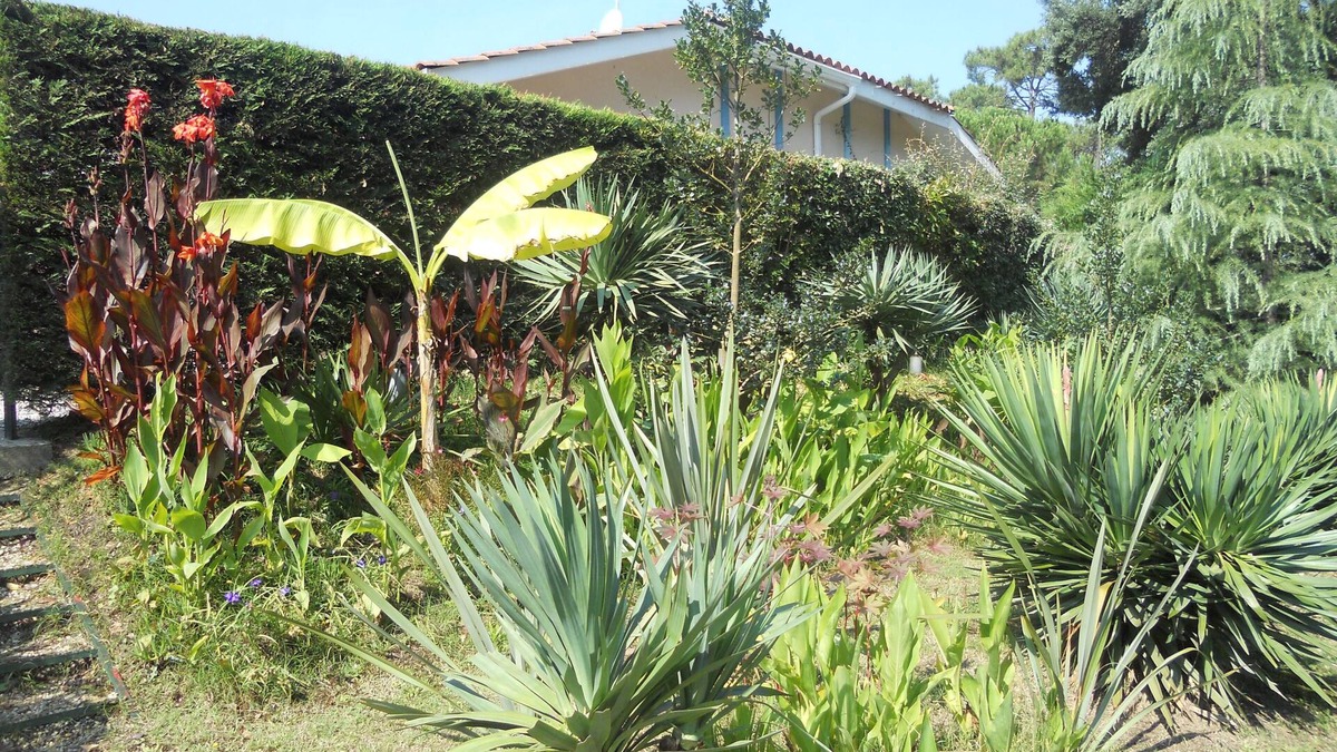 Moliets-et-Maa House | Charming house just a stone's throw from the ocean and golf course. Internet-fiber.