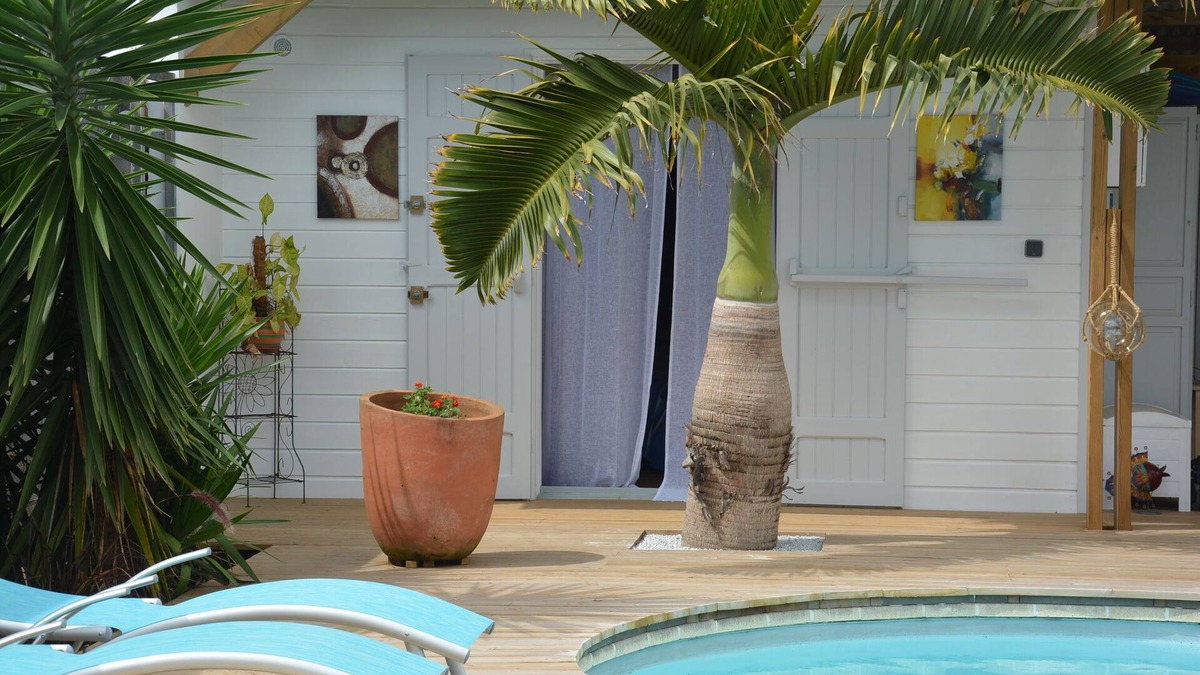Saint-Andre House | Charming "La Laurma" chalet, private and ethical, with private swimming pool