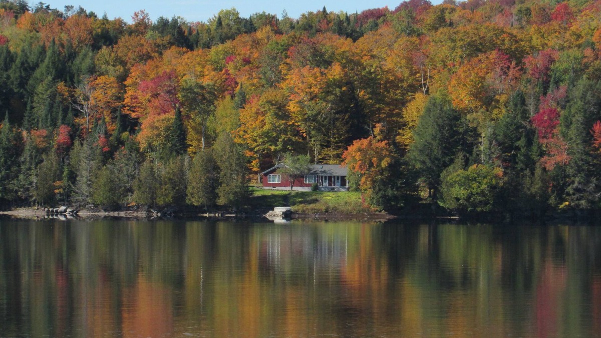 Morgan Cottage | Charming Lakeside Retreat on Crystal-Clear Seymour Lake - Morgan, Vermont