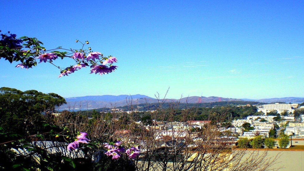 Ashbury Heights Apartment | Charming Large Studio With Expansive View