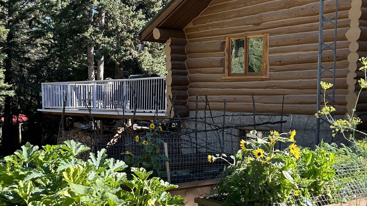 Alhambra Cabin | Charming Log Home Nestled in 7 Wooded Acres