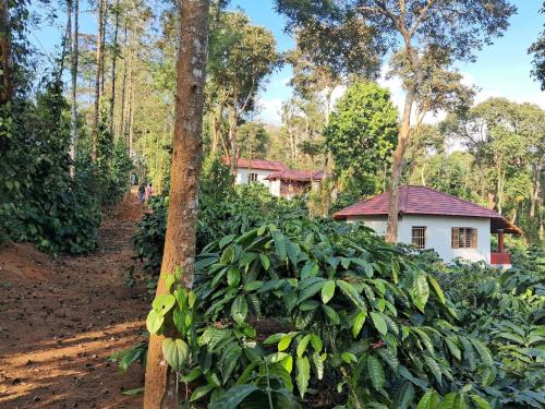 Bittangala House | Charming Nest