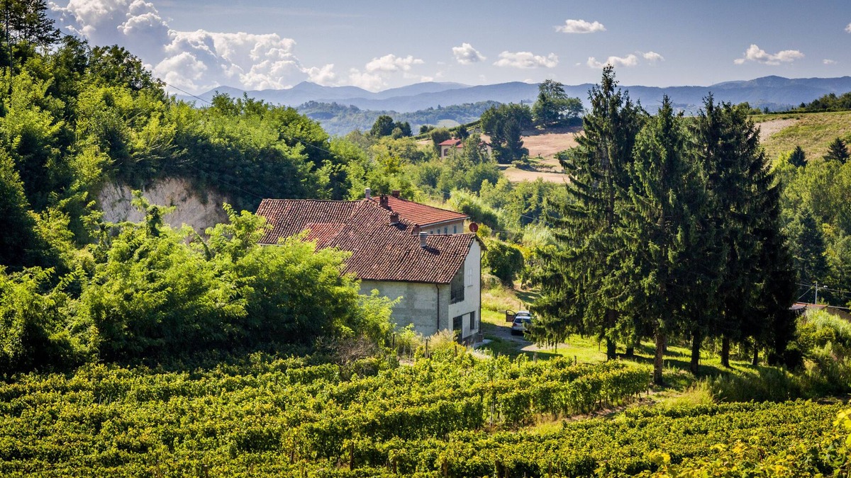 Strevi Cottage | Charming private countryhouse immersed in the vineyards