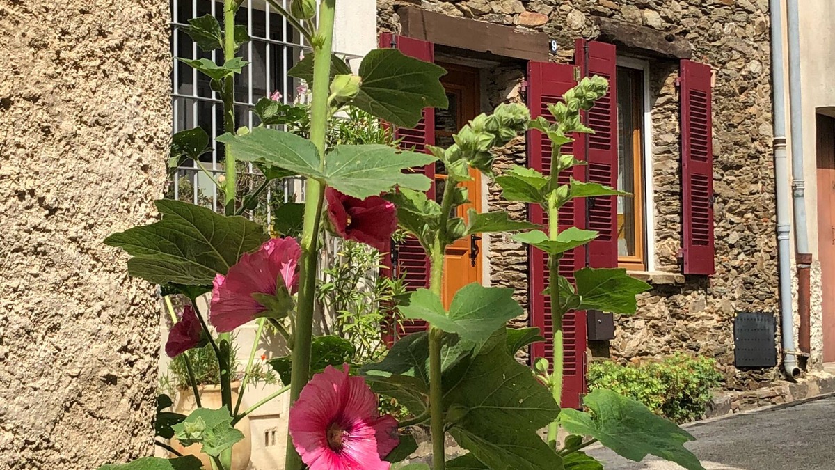 La Garde-Freinet House | Charming Provencal stone house with roof terrace and fantastic distant view