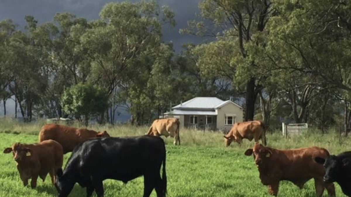 Goomburra Cottage | Charming Queenslander Cottage in peaceful setting