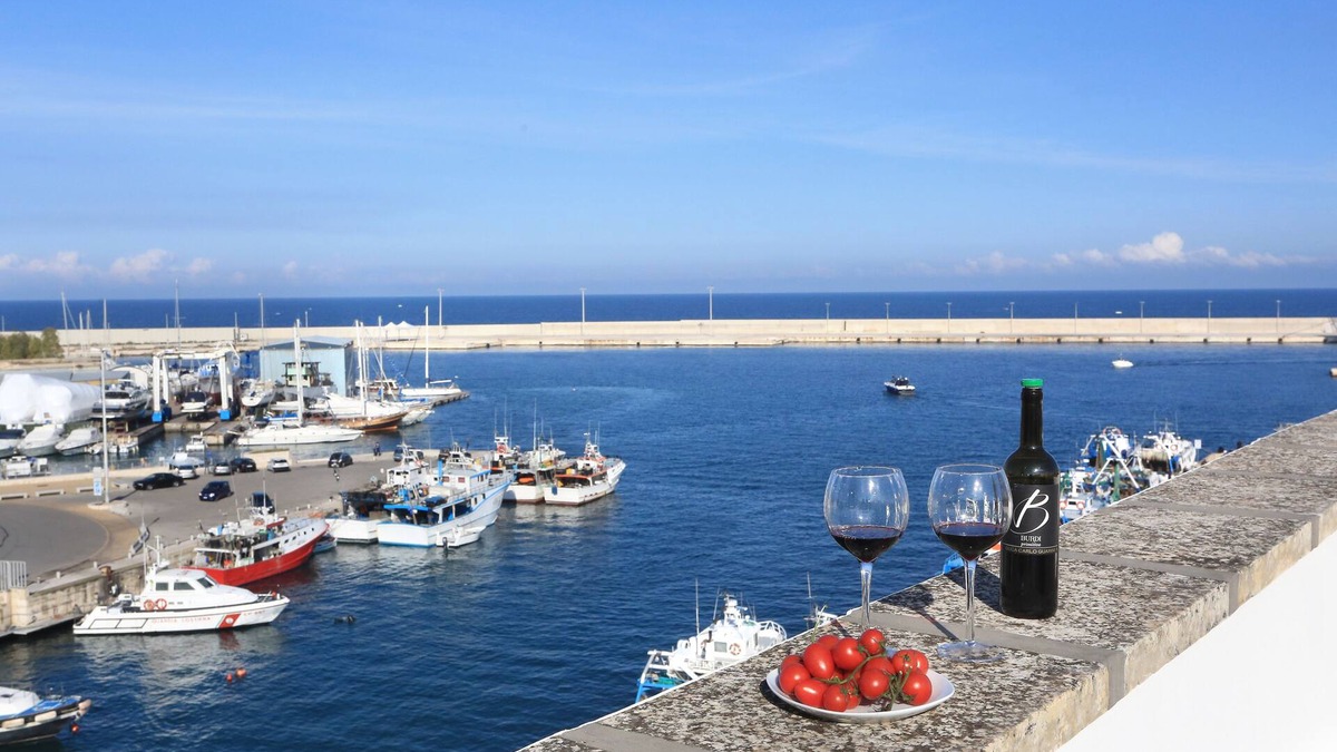 Monopoli House | CHARMING REAL HOUSE SEA VIEW INDEPENDENT TERRACES