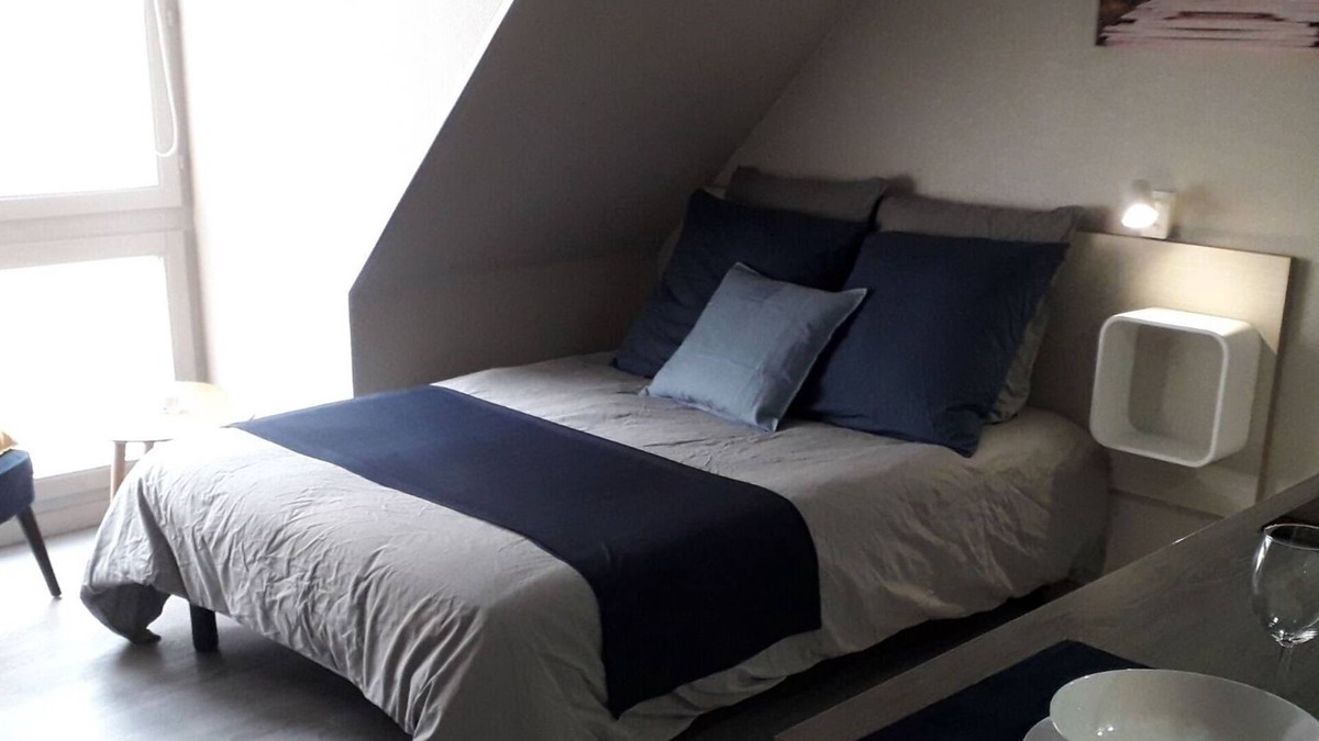 Mulhouse Apartment | Charming Standing Studio HISTORIC CENTER#