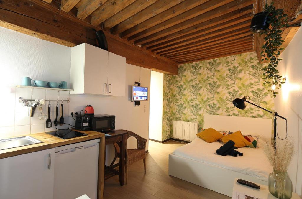 Terreaux - Bat d'argent Apartment | Charming Studio Centre Ville De Lyon