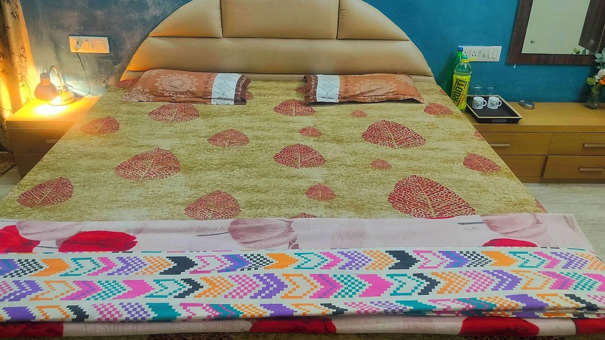 Raipur Apartment | Charming studio in Raipur with WiFi, AC, with chhattisgarhi traditional food