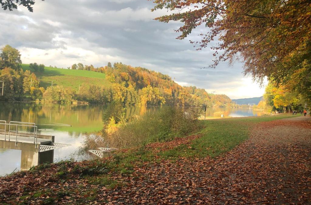 Ebikon Apartment | Charming Studio near Rotsee Lucerne Kitchen, WiFi, Washing machine